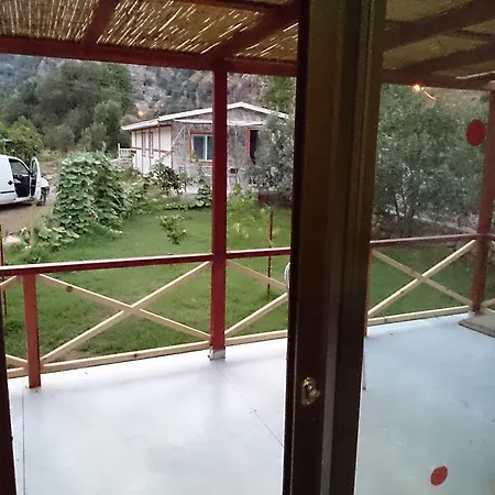 Calba Hause Turunç