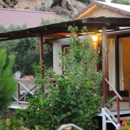 Calba Hause Turunç
