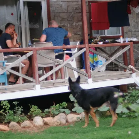 Calba Hause Pensiune agroturistice *