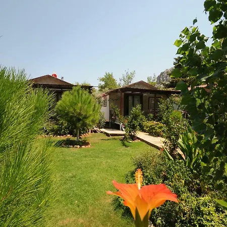 Pensiune agroturistice Calba Hause Turunç