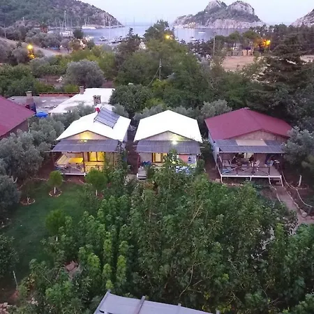 Calba Hause Pensiune agroturistice *
