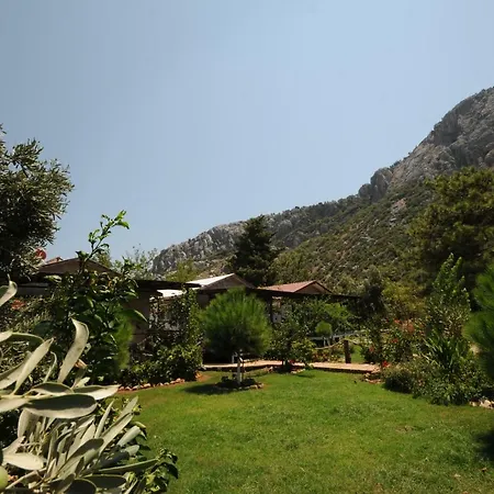 Calba Hause Agroturismo *