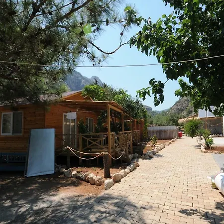 Calba Hause Turunç