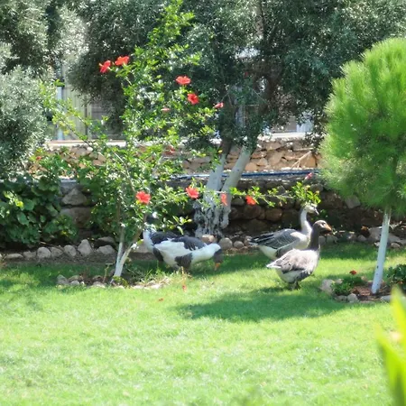 Calba Hause Pensiune agroturistice *