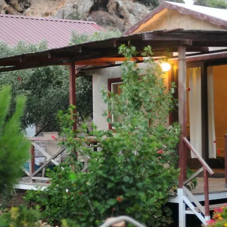 Calba Hause Turunc
