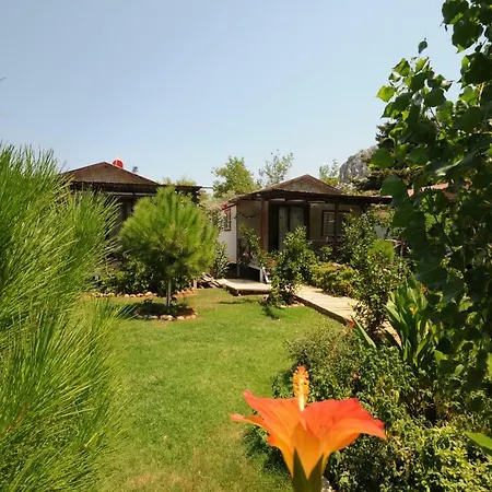 Farm stay Calba Hause Turunc