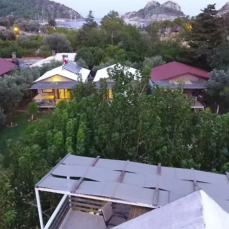 Calba Hause Farm stay Turunc