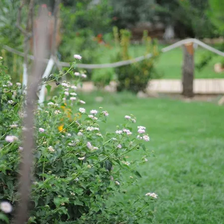Calba Hause Farm stay